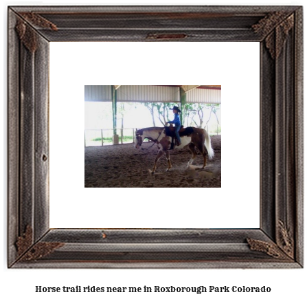 horse trail rides near me in Roxborough Park, Colorado